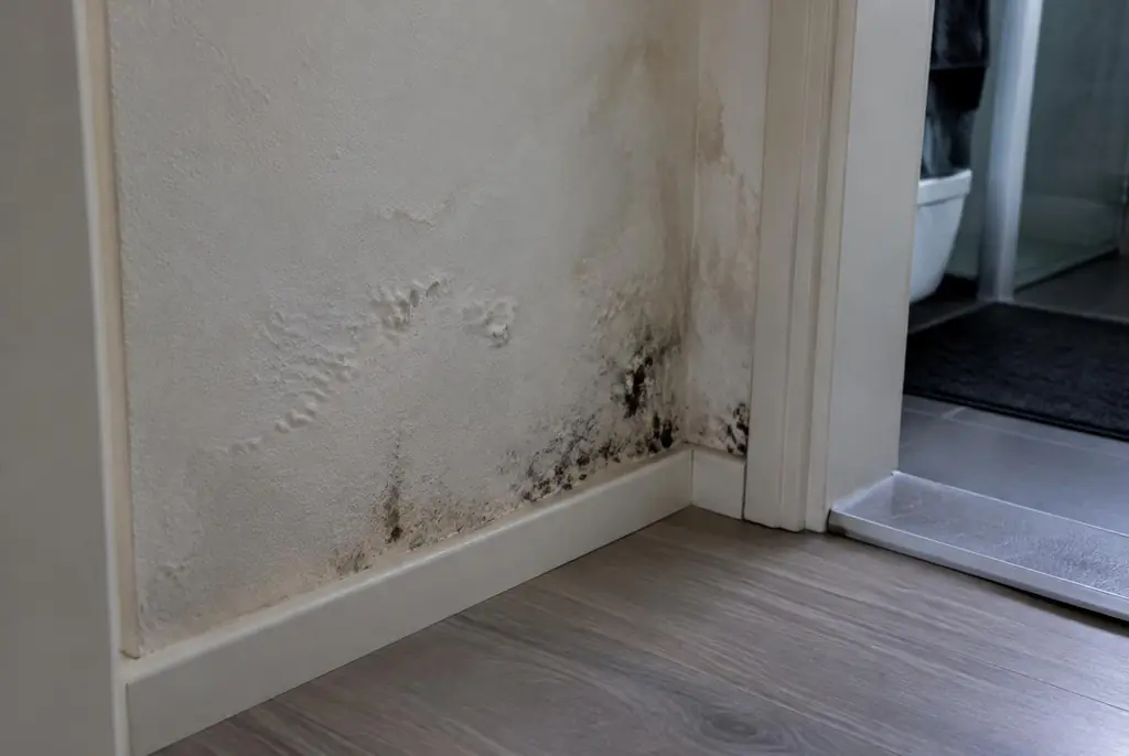 Lekdetectie Woudenberg – vochtplek met schimmel op een muur